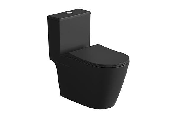 One-Piece Toilet